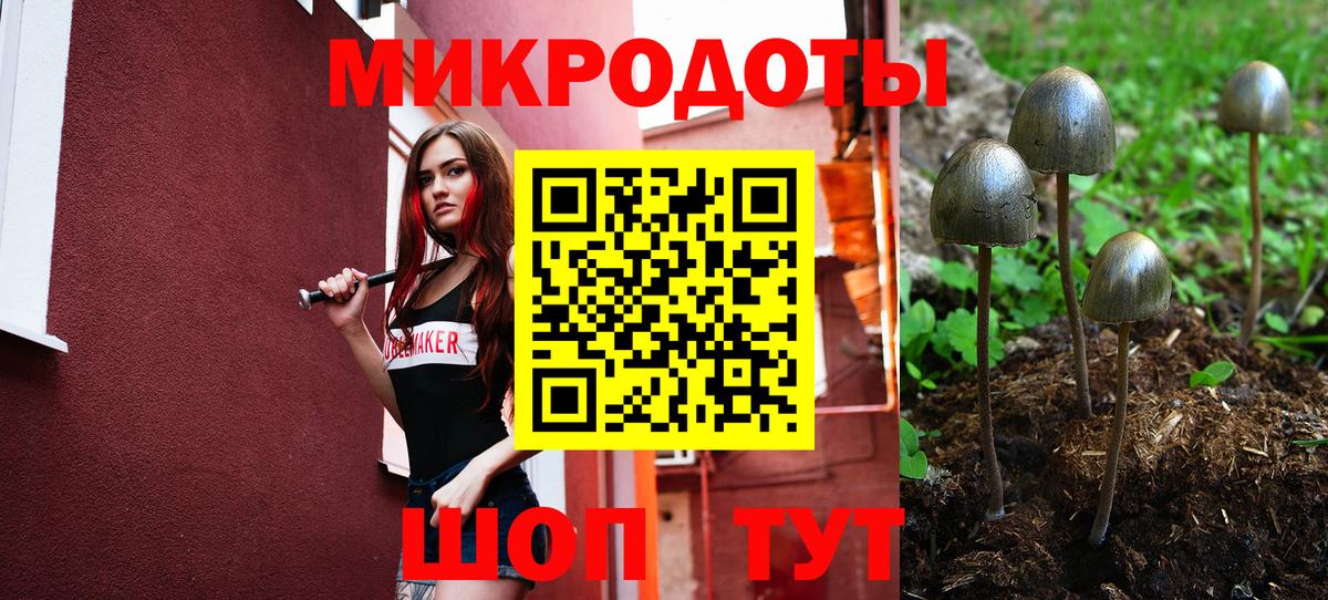 Галлюциногенные грибы ЛСД Красноармейск